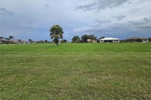 Land in Punta Gorda, Florida № 2160302 - photo 2