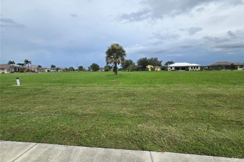 Land in Punta Gorda, Florida № 2160302 - photo 3