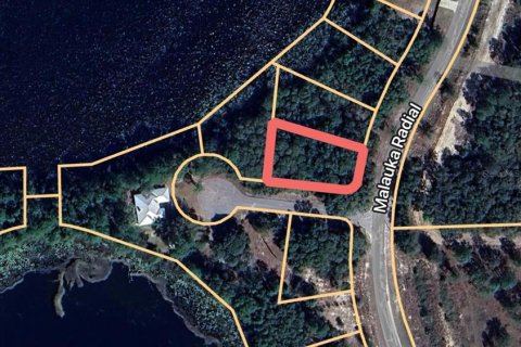 Land in Ocklawaha, Florida № 2161483 - photo 3