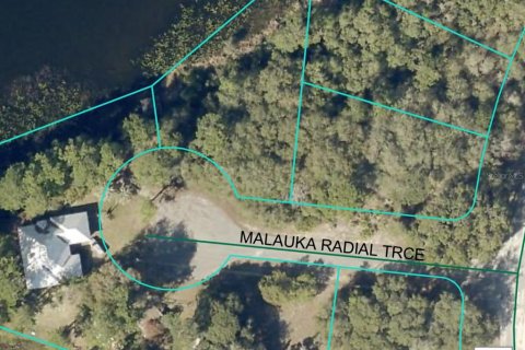 Land in Ocklawaha, Florida № 2161483 - photo 4