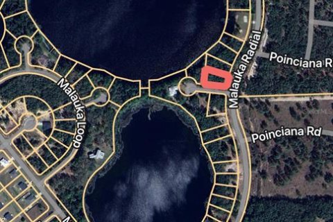 Land in Ocklawaha, Florida № 2161483 - photo 2