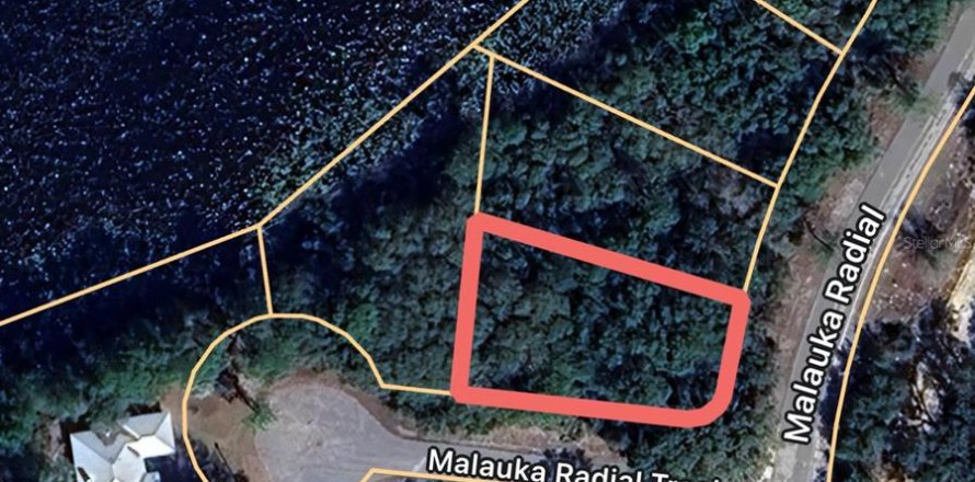 Land in Ocklawaha, Florida № 2161483