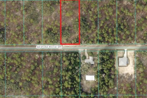 Land in Dunnellon, Florida № 1308925 - photo 1