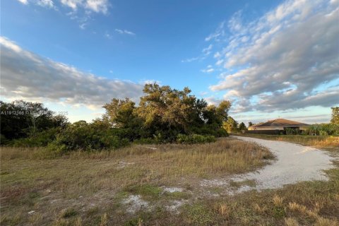 Terrain à vendre à Lehigh Acres, Floride № 1972704 - photo 1