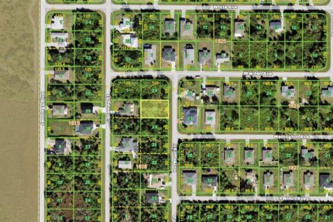 Land in Port Charlotte, Florida № 2383719 - photo 3