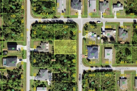 Land in Port Charlotte, Florida № 2383719 - photo 2