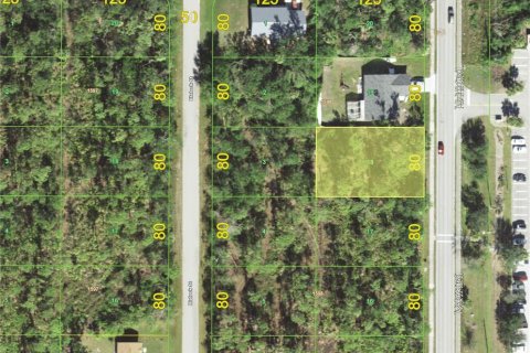 Land in Port Charlotte, Florida № 2229051