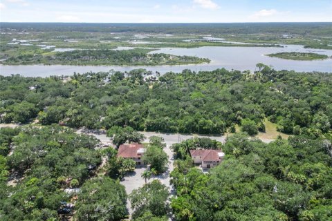 Immobilier commercial à vendre à Palm Coast, Floride: 445.56 m2 № 1871048 - photo 12
