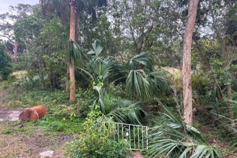 Casa en venta en Daytona Beach, Florida, 2 dormitorios, 99.5 m2 № 1654924 - foto 9