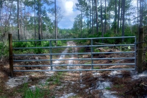 Terreno en venta en Cedar Key, Florida № 1919024 - foto 4