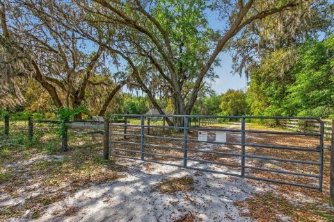 House in Palatka, Florida 3 bedrooms, 108.7 sq.m. № 2110847 - photo 5