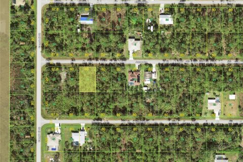 Land in Port Charlotte, Florida № 2159234 - photo 2
