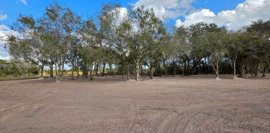 Land in Okeechobee, Florida № 2158281