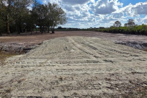 Land in Okeechobee, Florida № 2158281 - photo 2