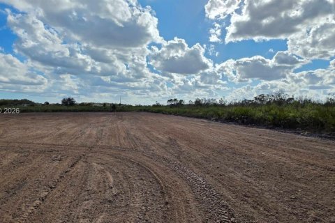 Land in Okeechobee, Florida № 2158281 - photo 16