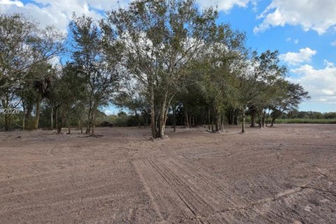 Land in Okeechobee, Florida № 2158281 - photo 9