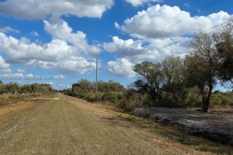 Land in Okeechobee, Florida № 2158281 - photo 22