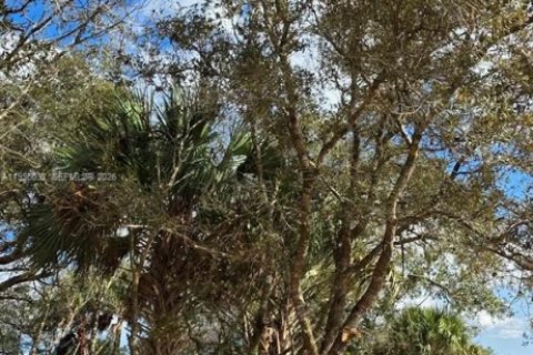 Land in Okeechobee, Florida № 2158281 - photo 11