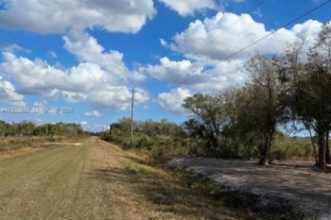 Land in Okeechobee, Florida № 2158281 - photo 14