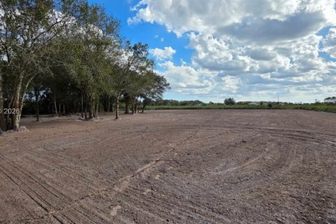 Land in Okeechobee, Florida № 2158281 - photo 12
