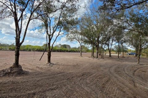 Land in Okeechobee, Florida № 2158281 - photo 20