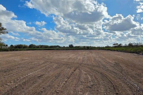 Land in Okeechobee, Florida № 2158281 - photo 13