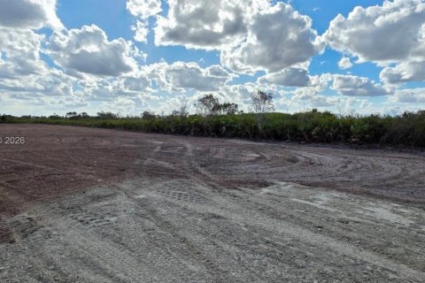 Land in Okeechobee, Florida № 2158281 - photo 10