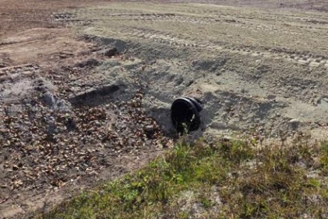 Land in Okeechobee, Florida № 2158281 - photo 5