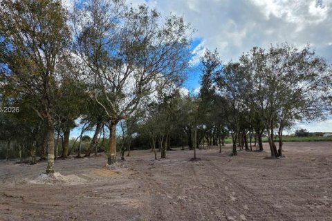 Land in Okeechobee, Florida № 2158281 - photo 17