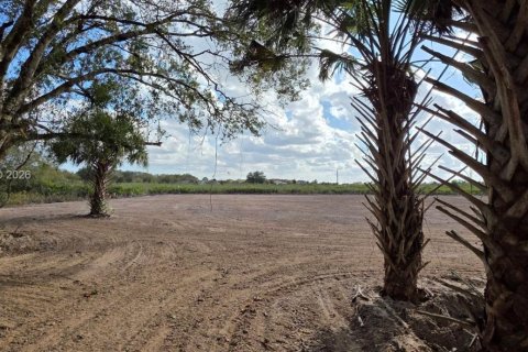 Land in Okeechobee, Florida № 2158281 - photo 8