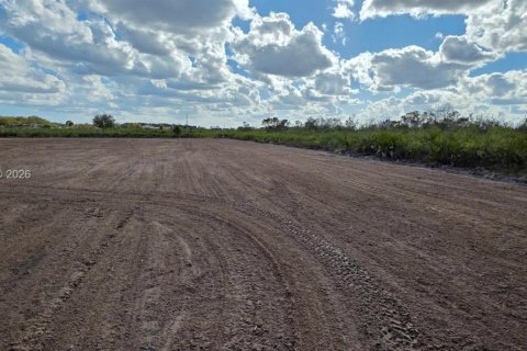 Land in Okeechobee, Florida № 2158281 - photo 4
