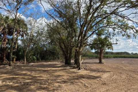 Land in Okeechobee, Florida № 2158281 - photo 6