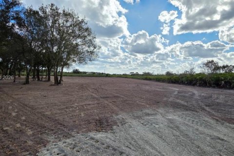 Land in Okeechobee, Florida № 2158281 - photo 18