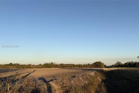 Land in Okeechobee, Florida № 2158281 - photo 3