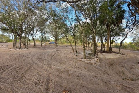 Land in Okeechobee, Florida № 2158281 - photo 7