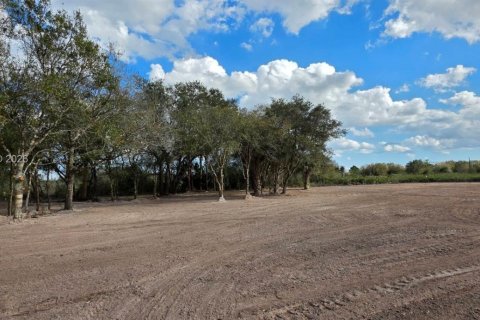 Land in Okeechobee, Florida № 2158281 - photo 19