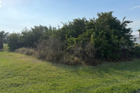 Terrain à vendre à Placida, Floride № 2232896 - photo 4