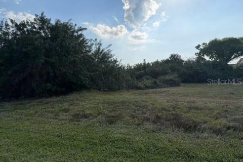 Terrain à vendre à Placida, Floride № 2232896 - photo 5
