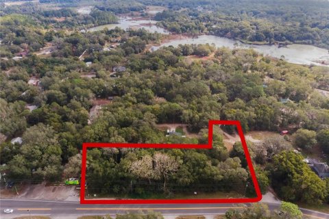 Land in Mount Plymouth, Florida № 1824163 - photo 2