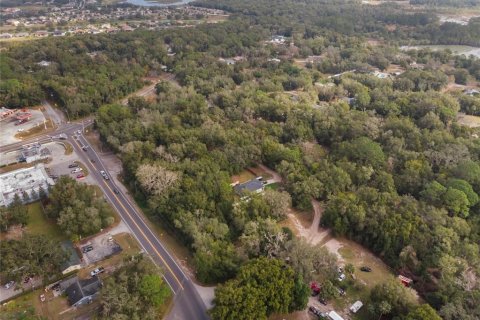 Land in Mount Plymouth, Florida № 1824163 - photo 14