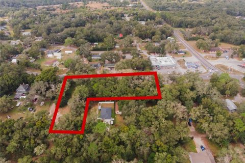 Land in Mount Plymouth, Florida № 1824163 - photo 8
