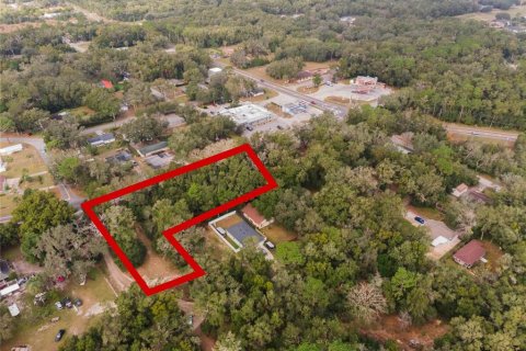 Land in Mount Plymouth, Florida № 1824163 - photo 9