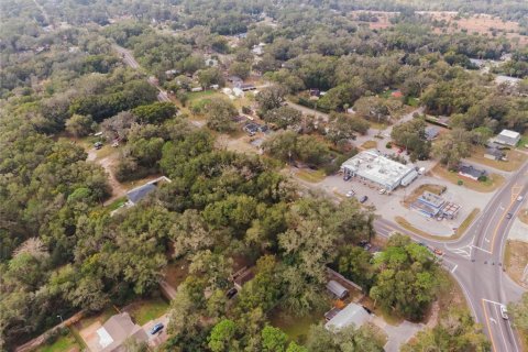 Land in Mount Plymouth, Florida № 1824163 - photo 6