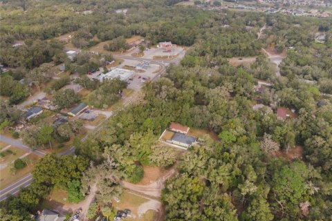 Land in Mount Plymouth, Florida № 1824163 - photo 12