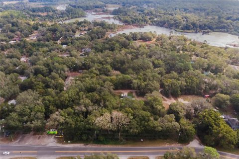 Land in Mount Plymouth, Florida № 1824163 - photo 1