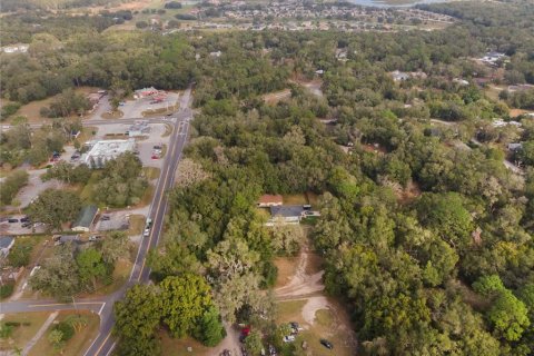 Land in Mount Plymouth, Florida № 1824163 - photo 13