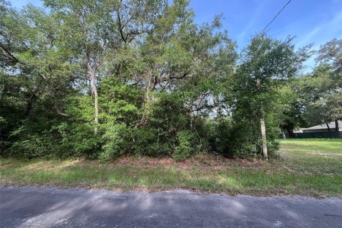 Terreno en venta en Hernando, Florida № 2159590 - foto 3