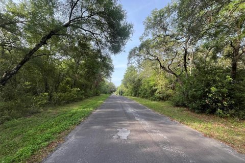 Terreno en venta en Hernando, Florida № 2159590 - foto 5