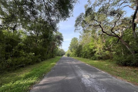 Terreno en venta en Hernando, Florida № 2159590 - foto 7
