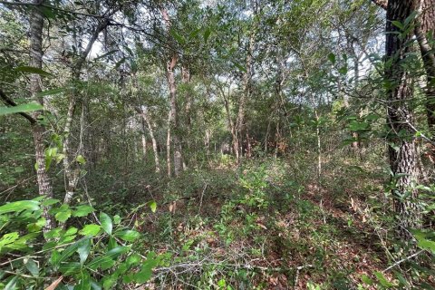 Terreno en venta en Hernando, Florida № 2159590 - foto 8